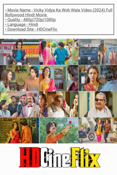 Vicky Vidya Ka Woh Wala Video Screenshot Vicky Vidya Ka Woh Wala Video Screenshot